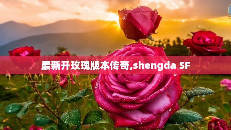 最新开玫瑰版本传奇,shengda SF 最新开玫瑰版本传奇,shengda SF