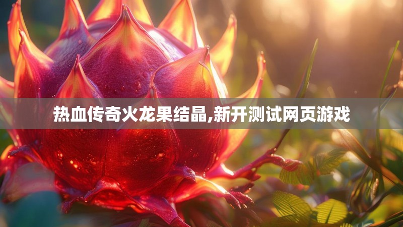 热血传奇火龙果结晶,新开测试网页游戏