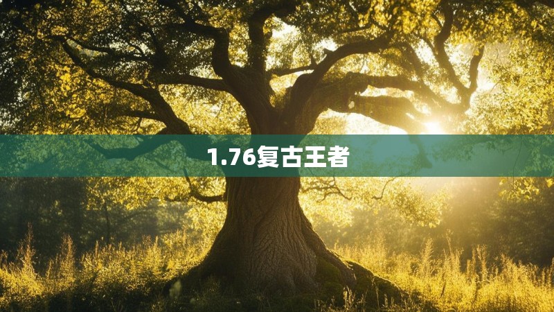 1.76复古王者