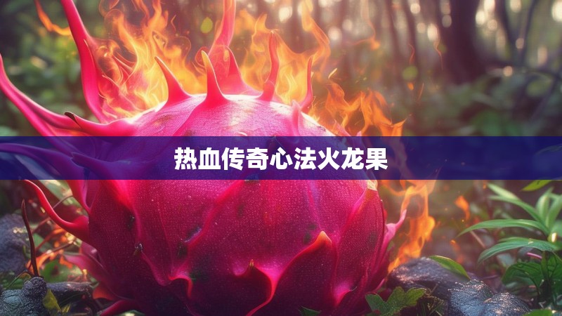 热血传奇心法火龙果