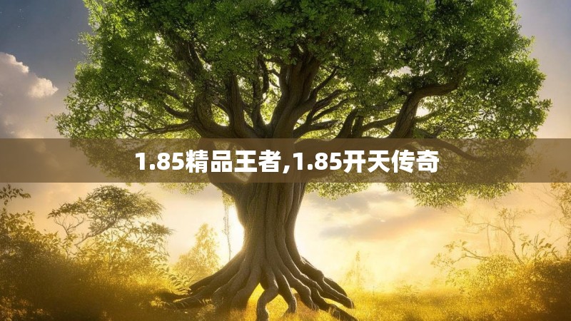 1.85精品王者,1.85开天传奇