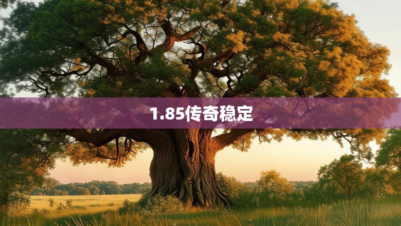 1.85传奇稳定