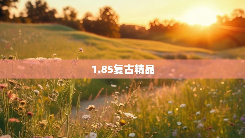 1.85复古精品