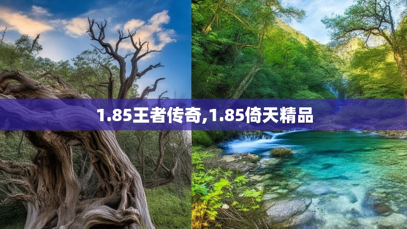 1.85王者传奇,1.85倚天精品