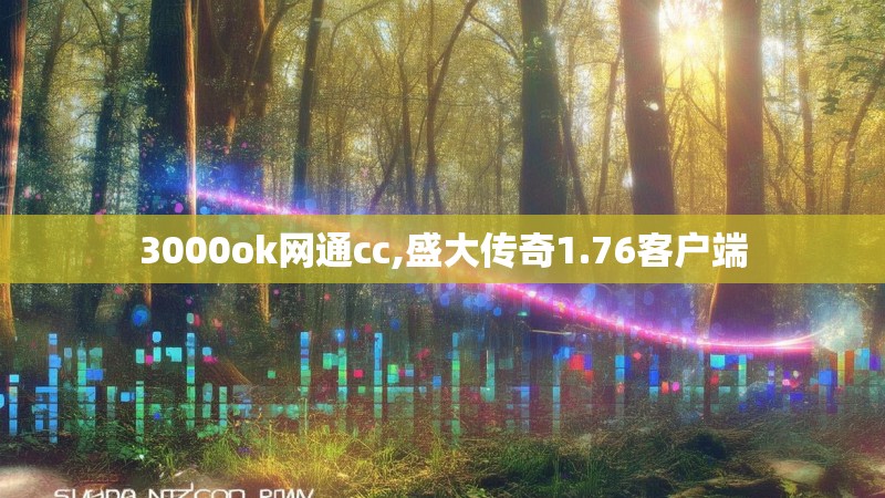 3000ok网通cc,盛大传奇1.76客户端