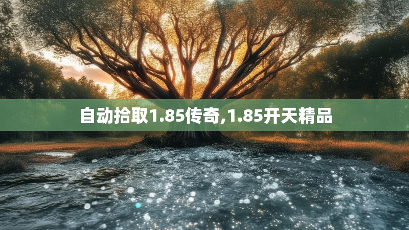 自动拾取1.85传奇,1.85开天精品