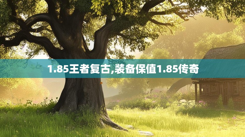 1.85王者复古,装备保值1.85传奇