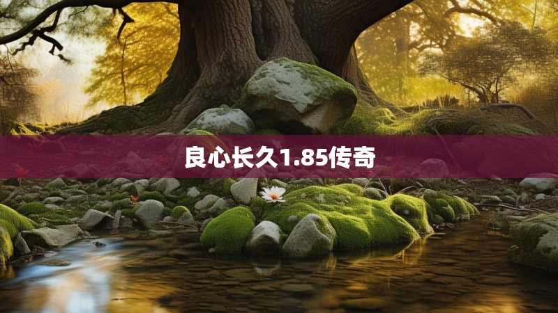 良心长久1.85传奇