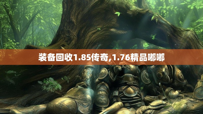 装备回收1.85传奇,1.76精品嘟嘟