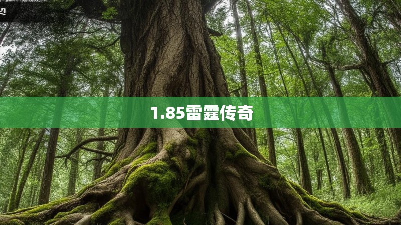 1.85雷霆传奇