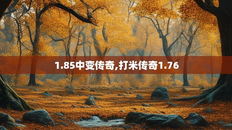 1.85中变传奇,打米传奇1.76