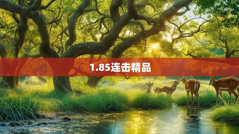 1.85连击精品