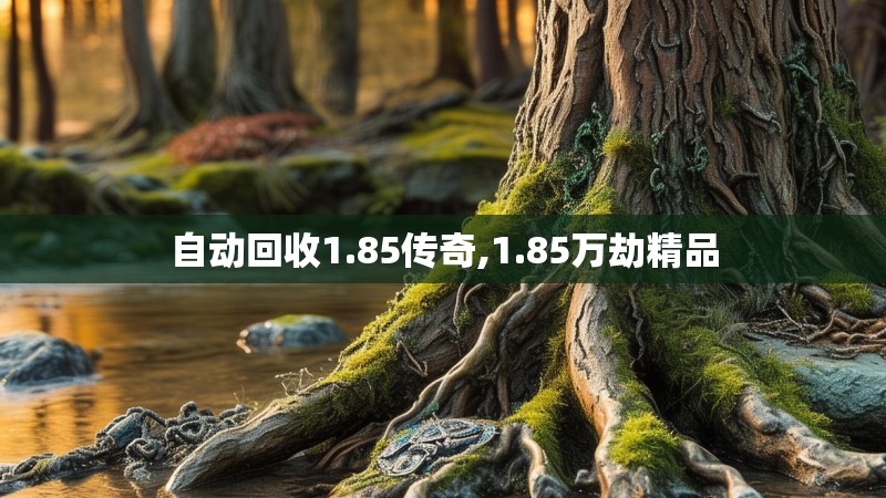 自动回收1.85传奇,1.85万劫精品