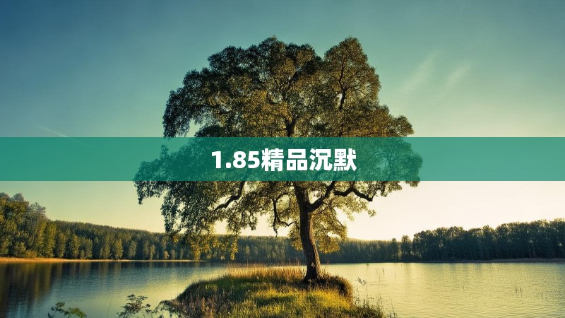 1.85精品沉默