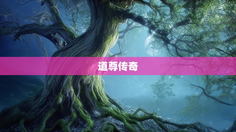 道尊传奇
