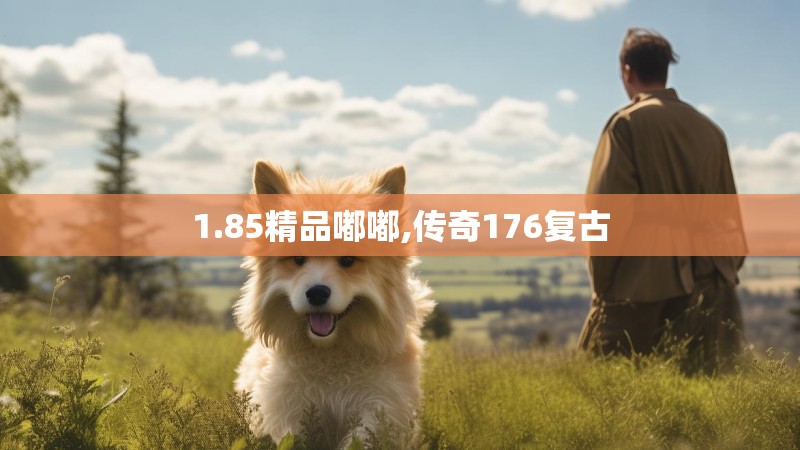 1.85精品嘟嘟,传奇176复古