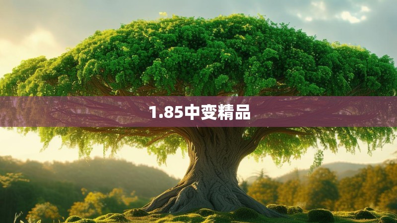 1.85中变精品