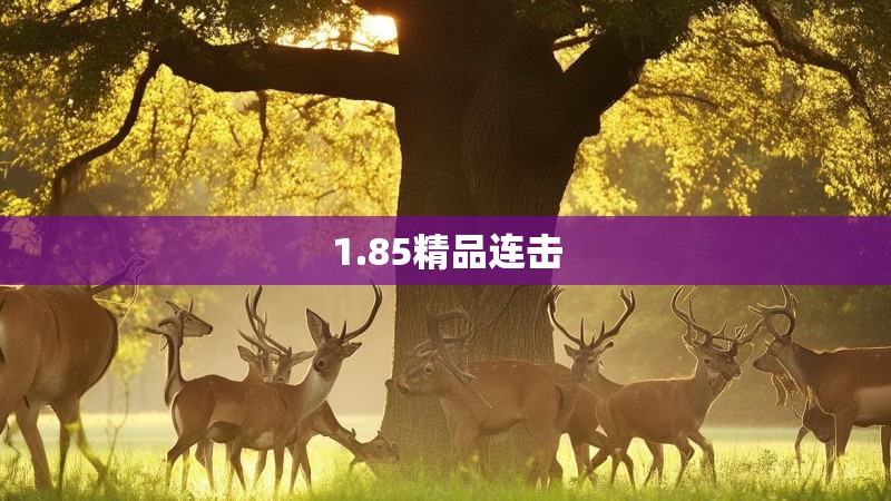 1.85精品连击
