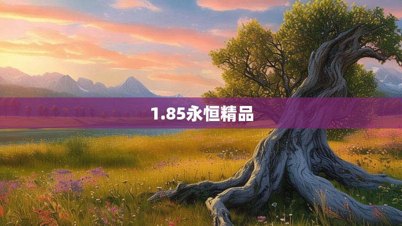1.85永恒精品