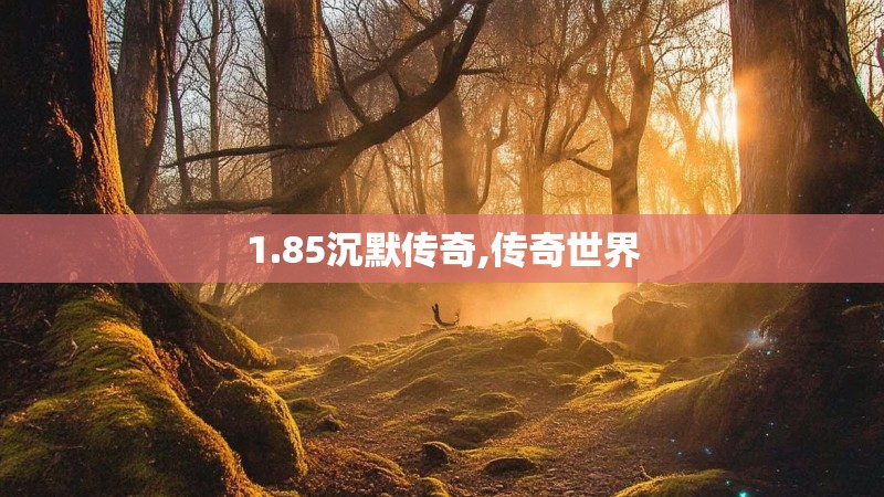 1.85沉默传奇,传奇世界 1.85沉默传奇,传奇世界