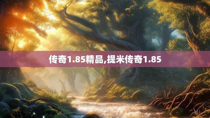 传奇1.85精品,提米传奇1.85