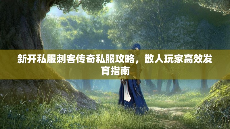 新开私服刺客传奇私服攻略,散人玩家高效发育指南 新开私服刺客传奇私服攻略,散人玩家高效发育指南