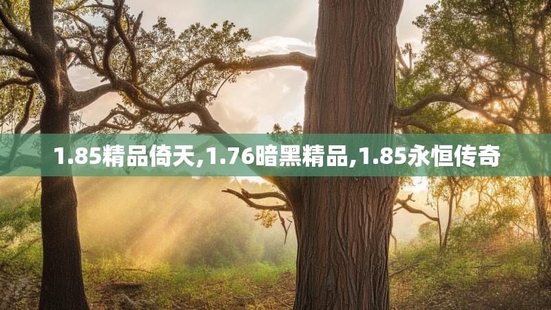1.85精品倚天,1.76暗黑精品,1.85永恒传奇