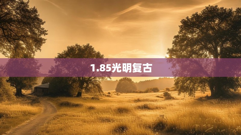 1.85光明复古