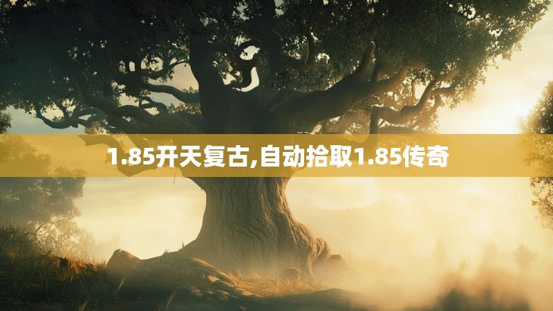 1.85开天复古,自动拾取1.85传奇