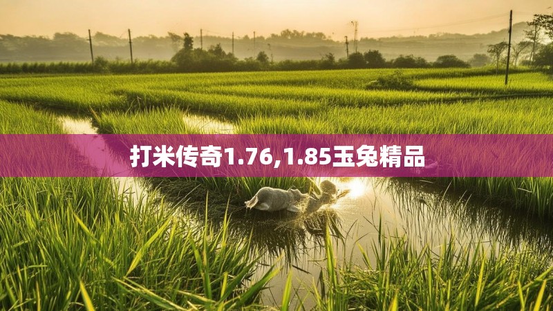 打米传奇1.76,1.85玉兔精品