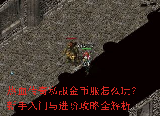 热血传奇私服金币服怎么玩？新手入门与进阶攻略全解析
