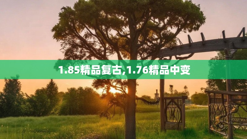1.85精品复古,1.76精品中变 1.85精品复古,1.76精品中变