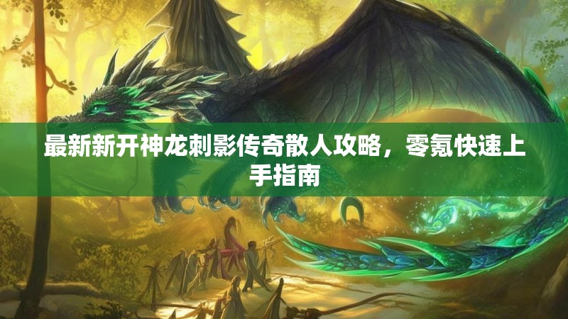 最新新开神龙刺影传奇散人攻略,零氪快速上手指南 最新新开神龙刺影传奇散人攻略,零氪快速上手指南