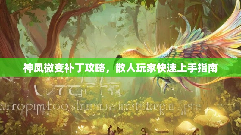 神凤微变补丁攻略，散人玩家快速上手指南