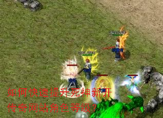 如何快速提升死神新开传奇网站角色等级？