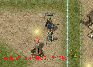 血染龙新服如何快速提升等级？