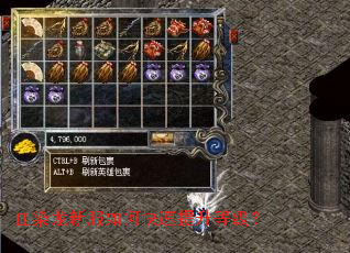 血染龙新服如何快速提升等级？