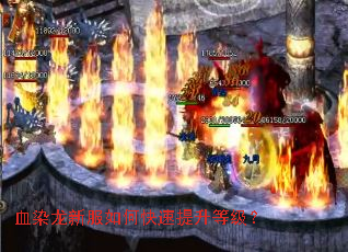 血染龙新服如何快速提升等级？