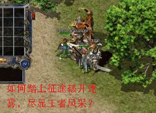 如何踏上征途破开迷雾，尽显王者风采？