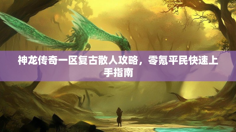 神龙传奇一区复古散人攻略，零氪平民快速上手指南