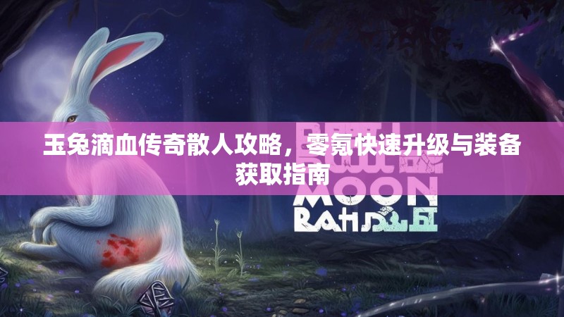 玉兔滴血传奇散人攻略，零氪快速升级与装备获取指南
