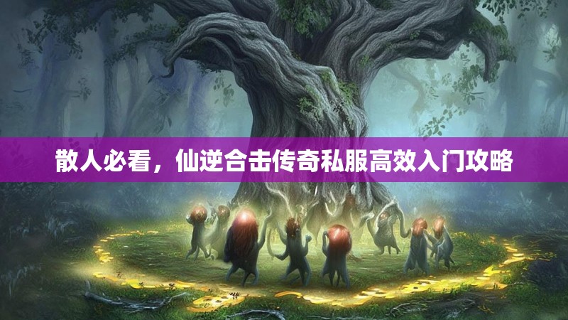 散人必看，仙逆合击传奇私服高效入门攻略