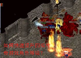 如何快速提升四拟传奇游戏角色等级？