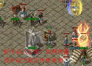 新手初入沙城？如何快速提升战力成为传奇英雄