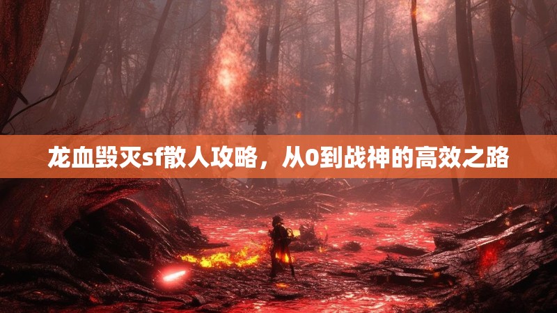 龙血毁灭sf散人攻略，从0到战神的高效之路