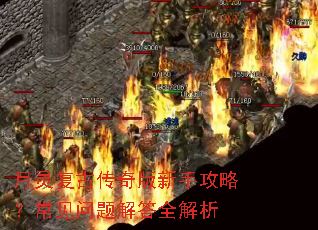月灵复古传奇版新手攻略？常见问题解答全解析