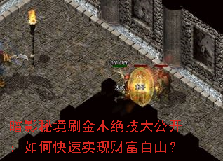 暗影秘境刷金木绝技大公开：如何快速实现财富自由？