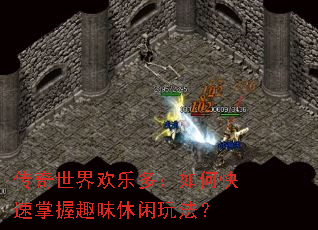 传奇世界欢乐多：如何快速掌握趣味休闲玩法？