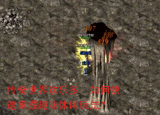 传奇世界欢乐多：如何快速掌握趣味休闲玩法？