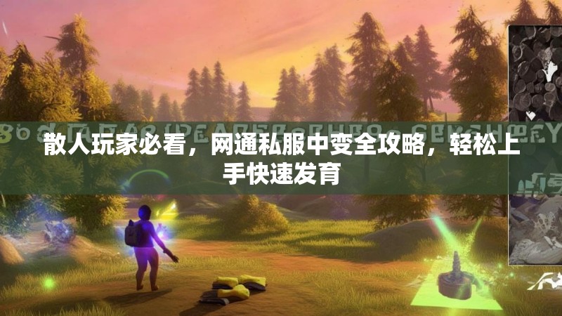散人玩家必看，网通私服中变全攻略，轻松上手快速发育